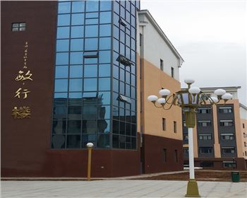 青海學(xué)校庭院景觀燈-青海省寶雞高新一中路燈工程