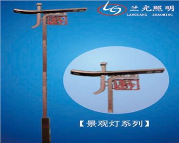 雙頭市電景觀燈