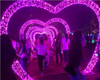 寧夏燈光節-節日亮化