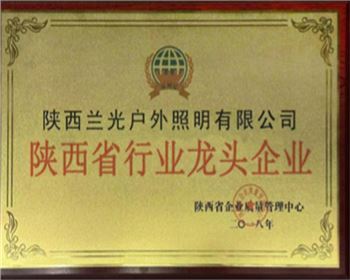 陜西省行業(yè)龍頭企業(yè)
